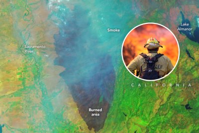 park fire and firefighter