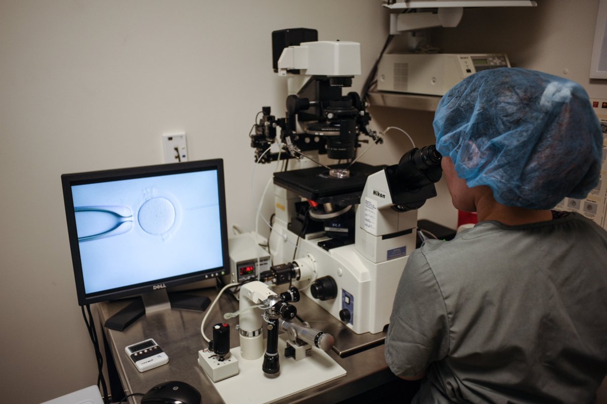 IVF