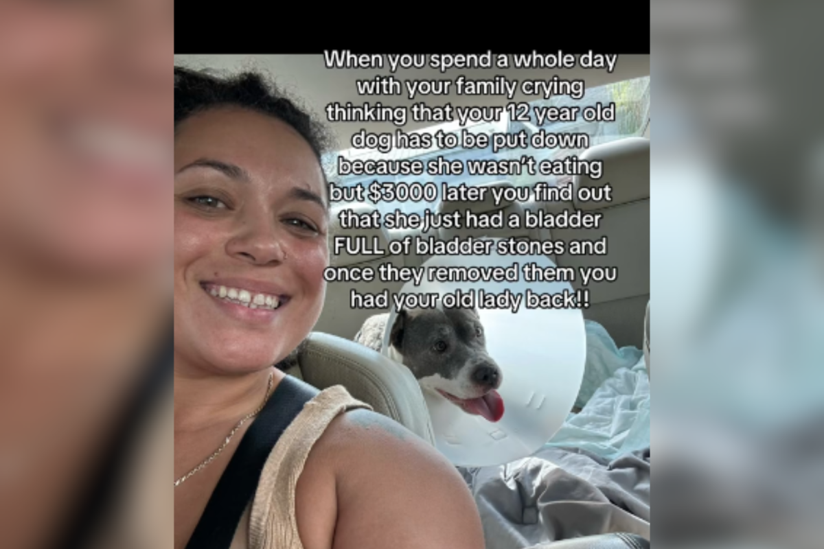 Justine Deleon's TikTok