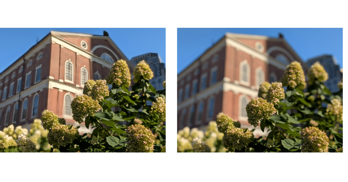 Google Pixel 9 Review