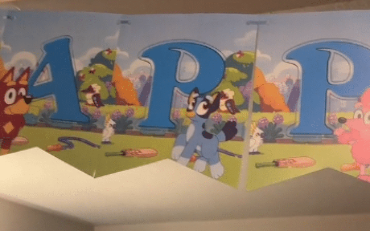 Mom Thinks She Bought ‘Bluey’ Birthday Decorations, Then She Looks Closer