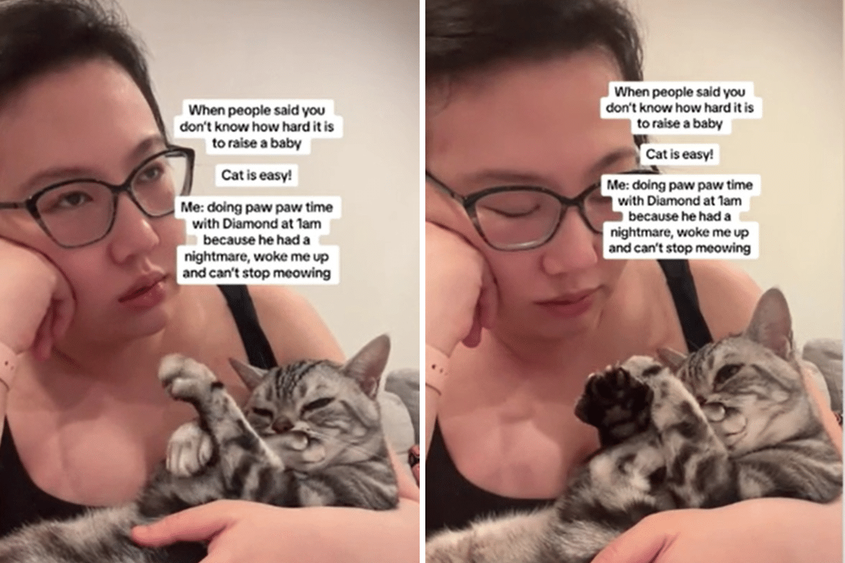 Woman Compares Looking After Her ‘Toddler’-Like Cat to Motherhood