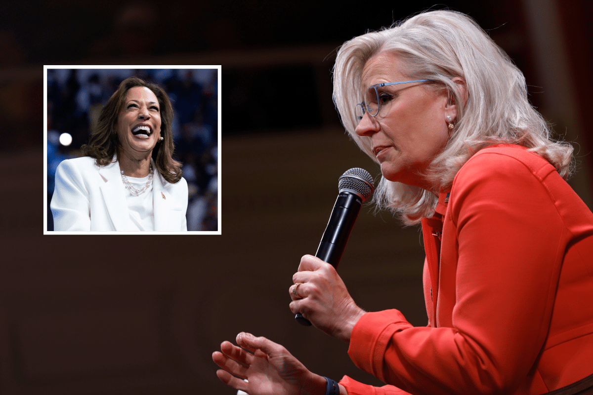 Cheney Support Gives Republicans ‘Permission’ to Vote for Harris—Strategist