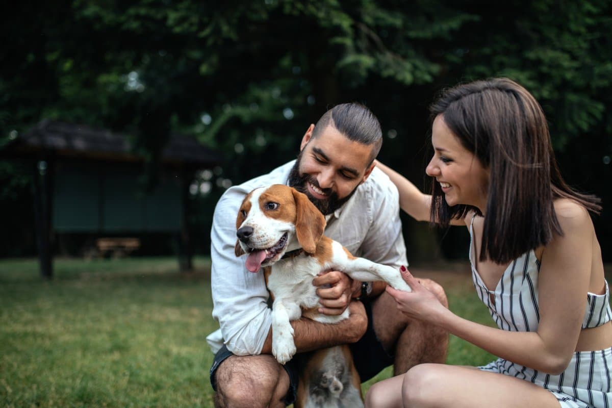 Woman Films Husband’s Reaction to Bringing Home New Dog Set for Euthanasia