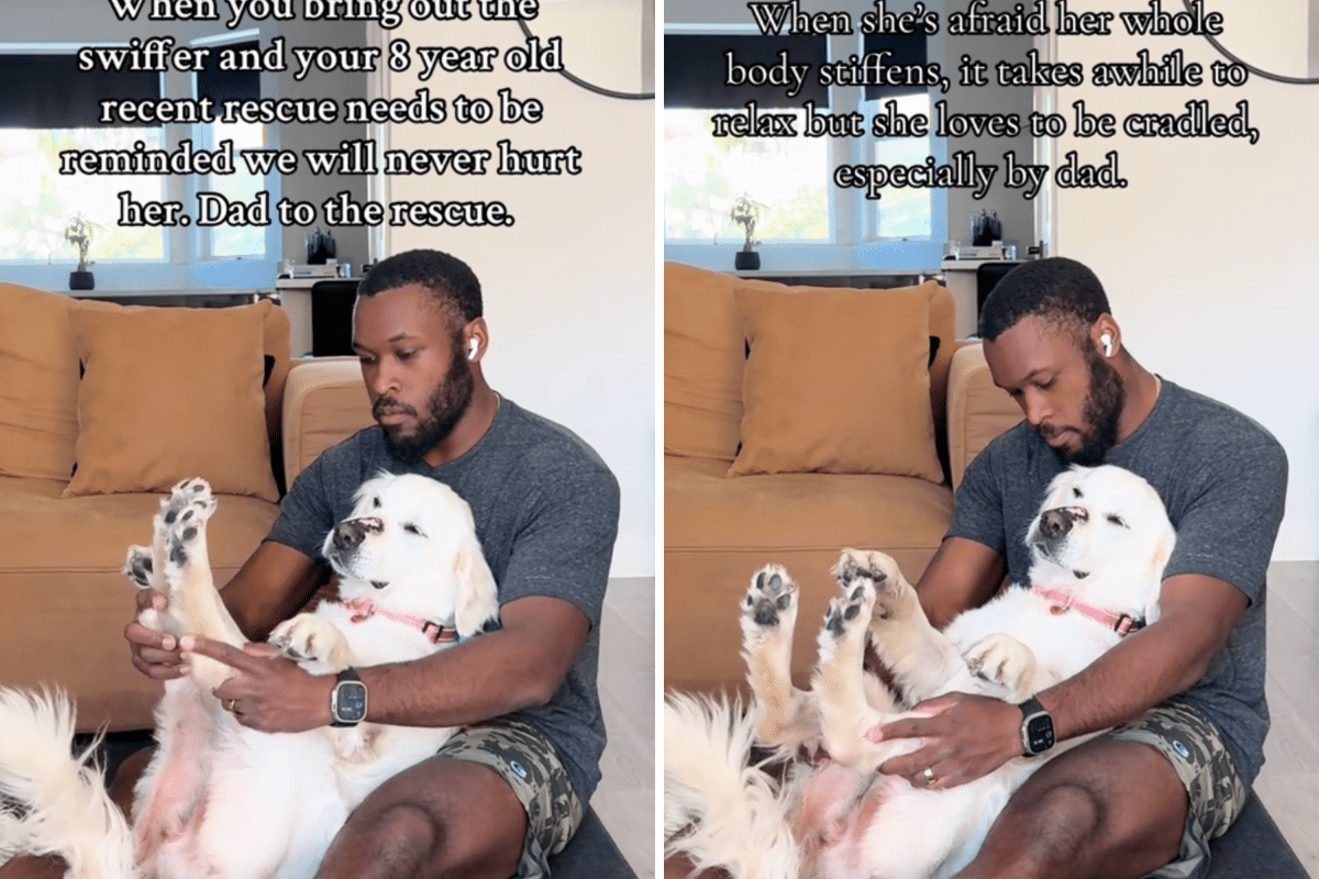 Man Cradles Rescue Dog Petrified of Swiffer Mop in Moving Video