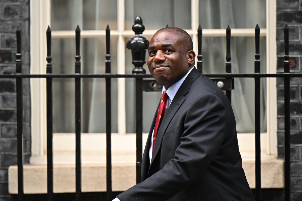 David Lammy UK Israel Arms Suspension