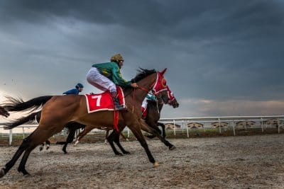 How Horses are Helping ISIS Survivors Heal: ‘It’s like Watching Magic’
