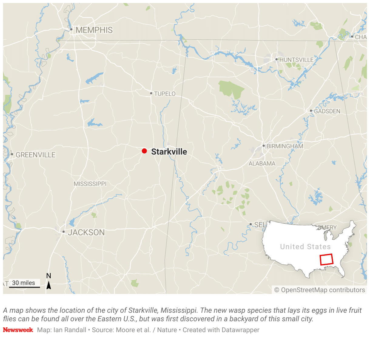A map shows the location of the city of Starkville, Mississippi.