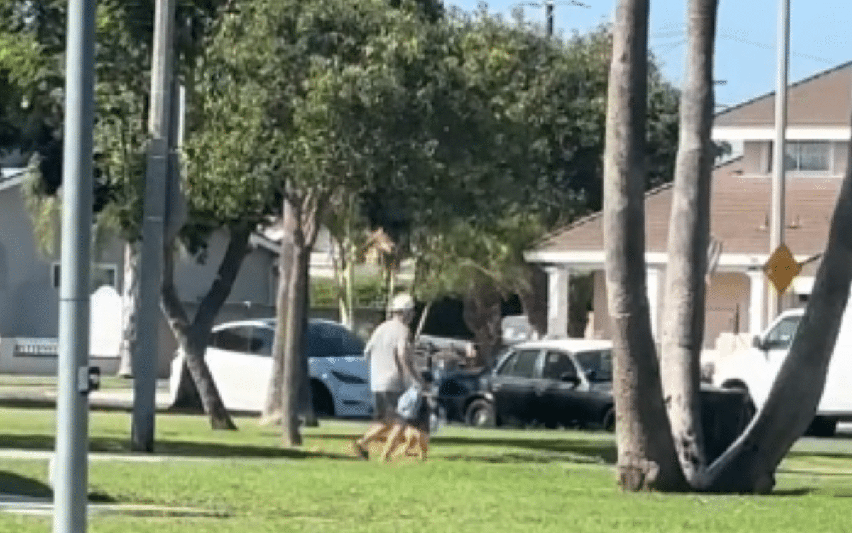Mom Drops Son at Preschool, Minutes Later She Spots Dad Sneaking Him Out