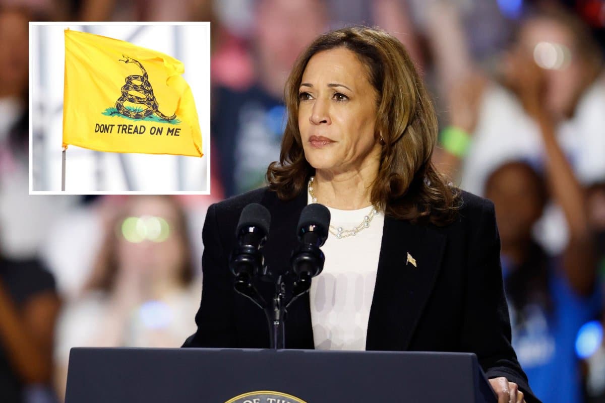 Kamala Harris Libertarian Flag