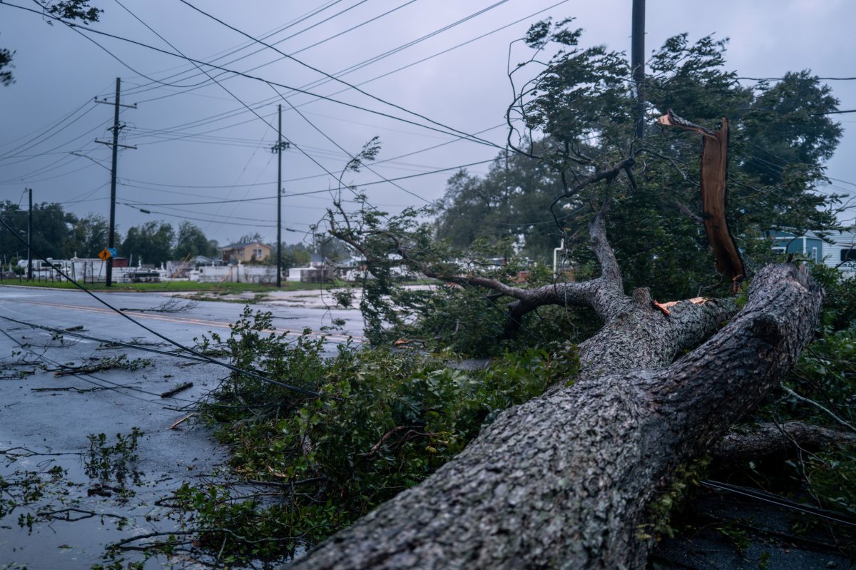 Joe Biden Declares Disaster in Louisiana