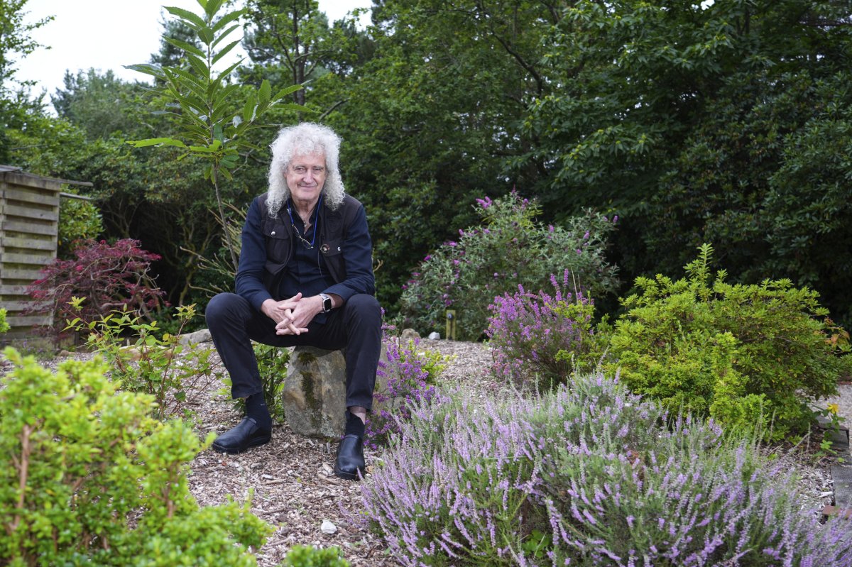 Queen guitarist Brian May