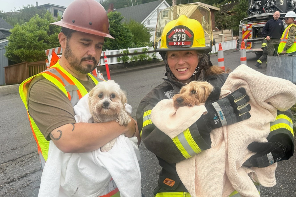 Rescue team with Alani and Cassie