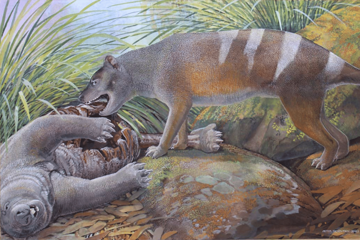 Fossils: Iconic Tasmanian Tiger’s Earliest Ancestors Discovered