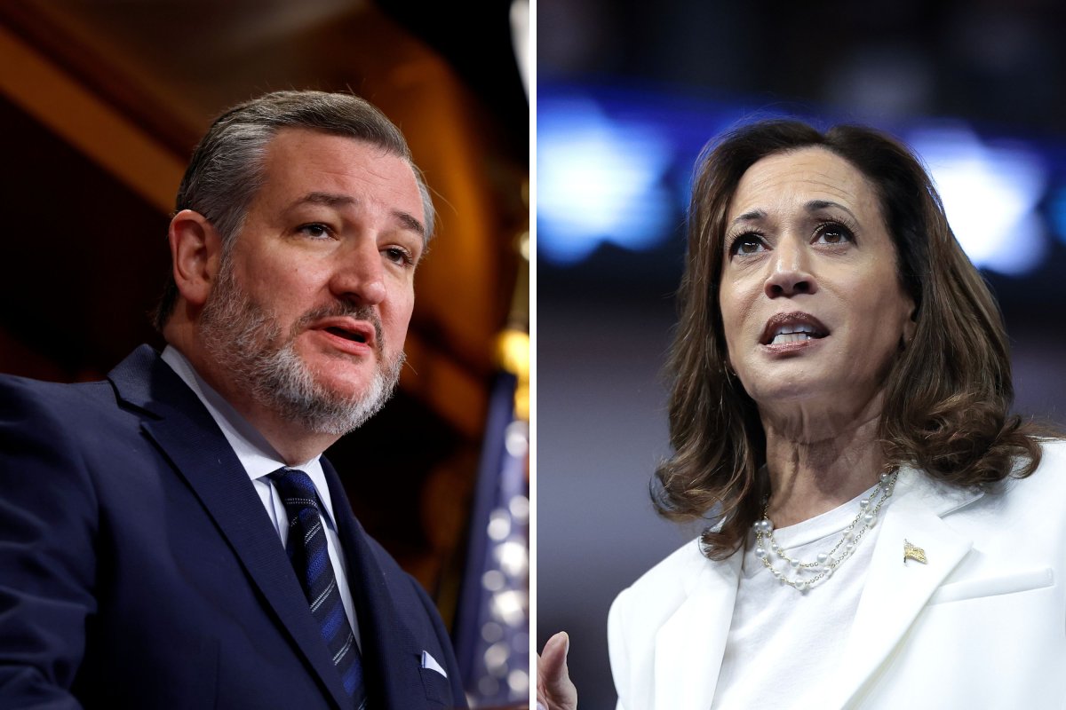 Kamala Harris Guilty Of ‘Ignoring’ Fallen Soldiers: Ted Cruz