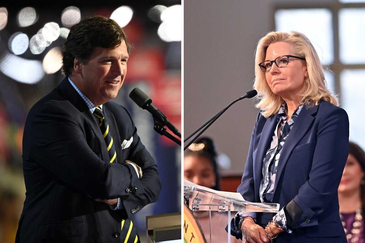 Liz Cheney Rips Tucker Carlson in Viral Post