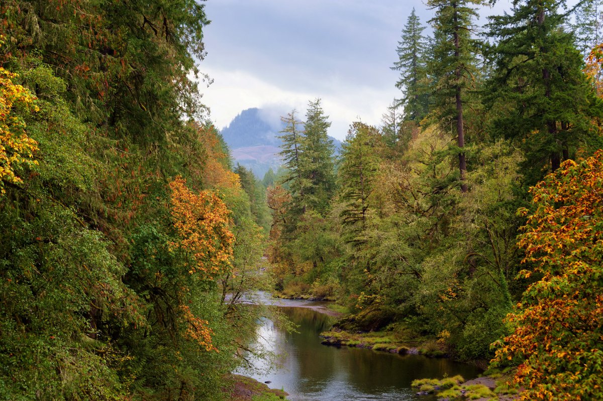 Autumn Colors on McKenzie Pass Byway