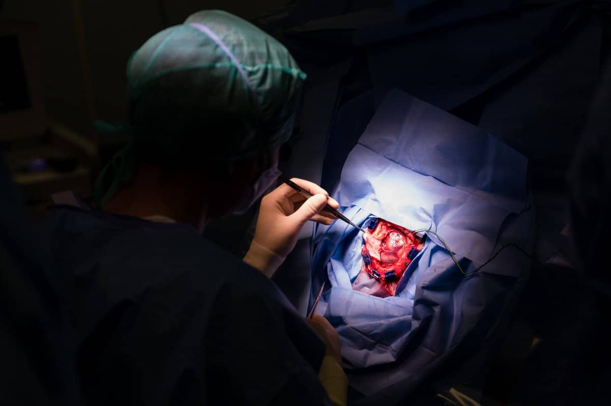 The Life and Work of a Brain Surgeon, as Told From the Front Line