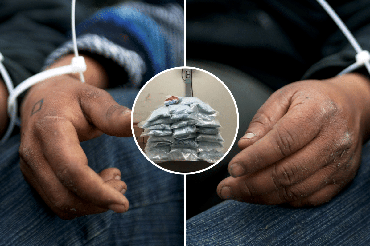 Border Agents Seize $11 Million Worth of Blue Fentanyl Pills