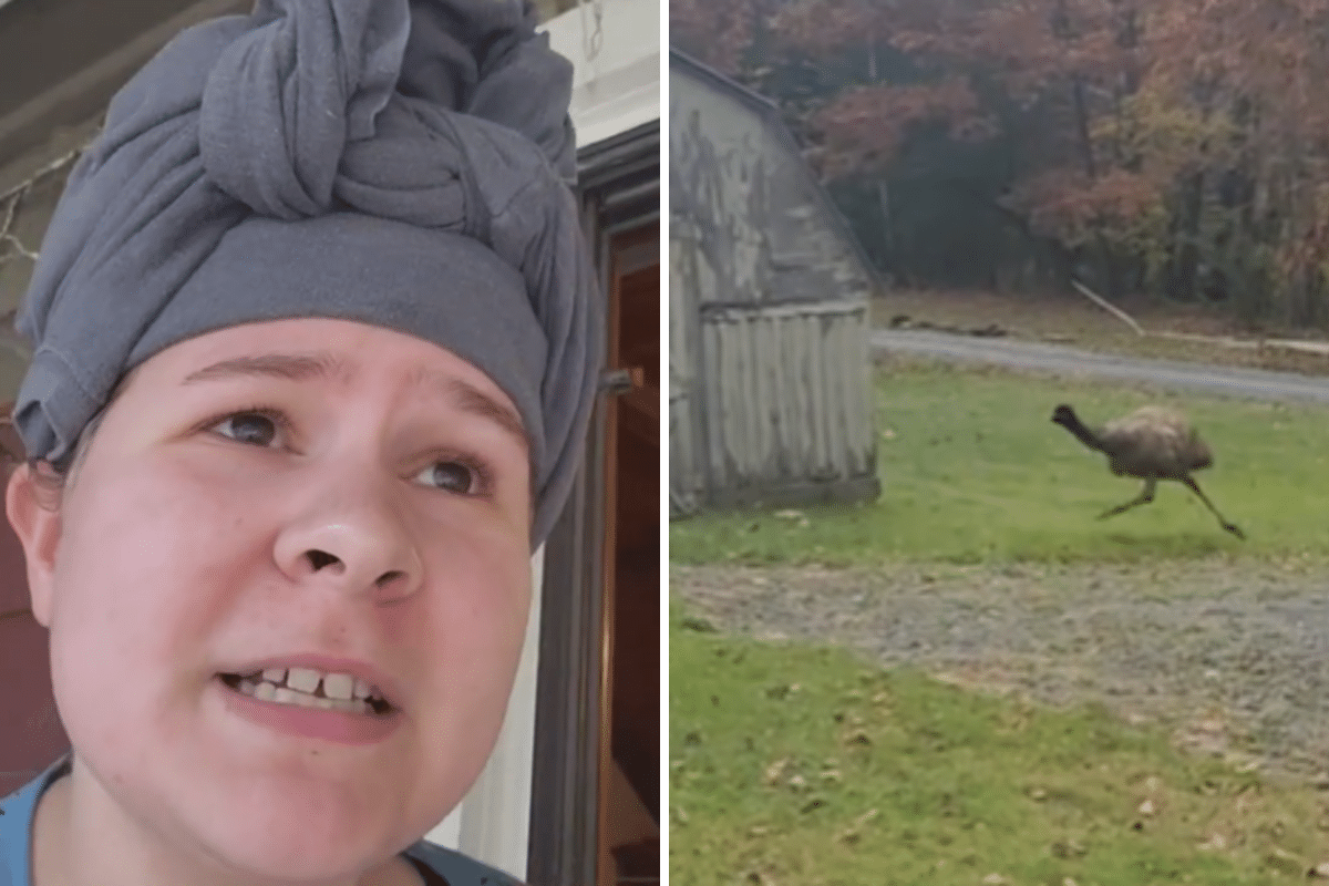 Woman Sees ‘Human’ Shape Moving in Her Yard, Not Prepared for What It Is
