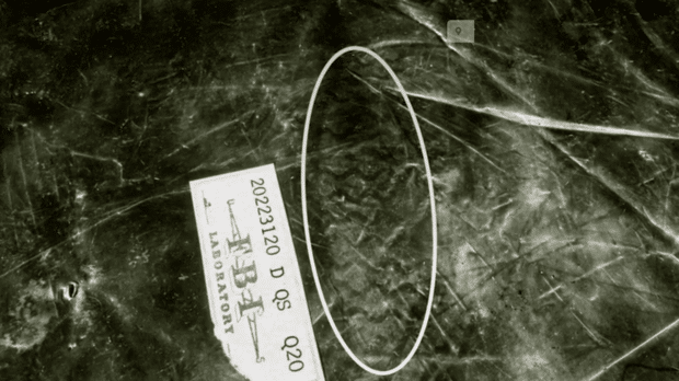 Krauseneck murder evidence