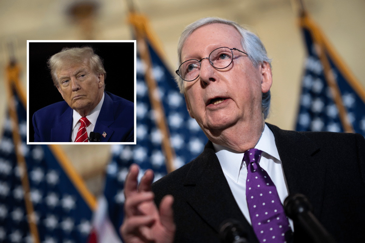 McConnell Called Trump ‘Stupid’ and ‘Despicable’ After 2020 Election: Book