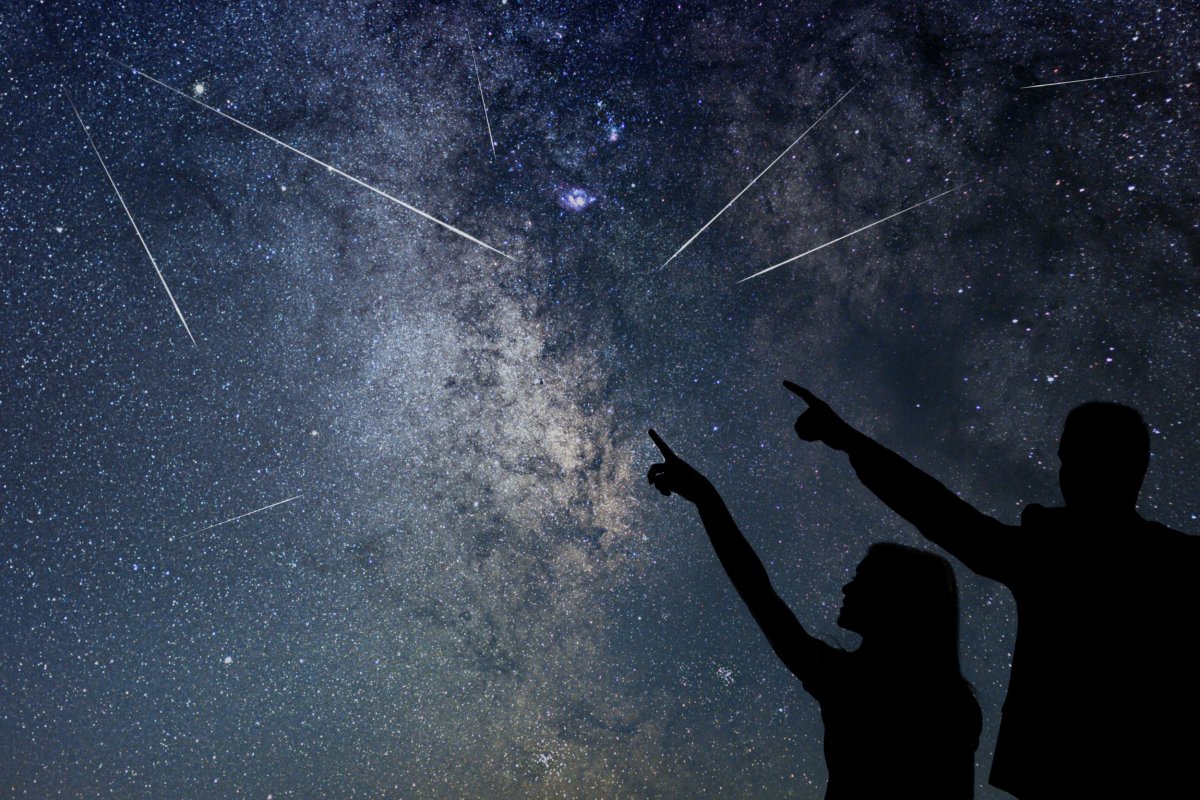 When Is the Next Meteor Shower After the Orionids?
