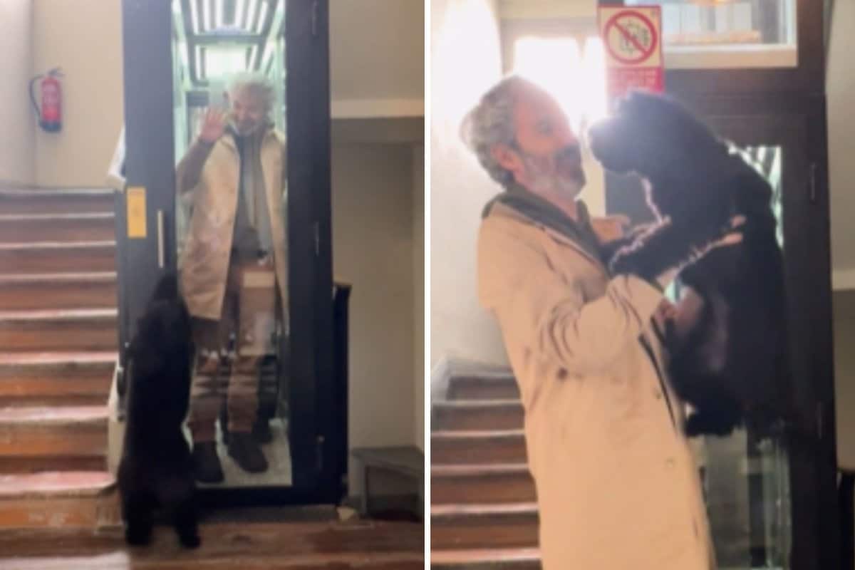 Man Who Never Owned a Pet Finally Gets a Dog, Admits ‘Now I Get It’