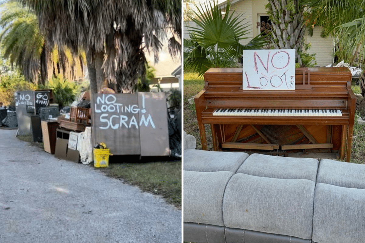 No looting signs