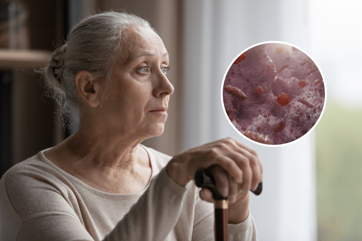 Alzheimer’s Link with Gut Health Revealed by New Study