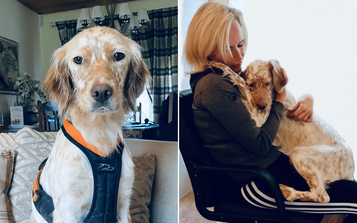 Penny the setter and Diana Svensson.