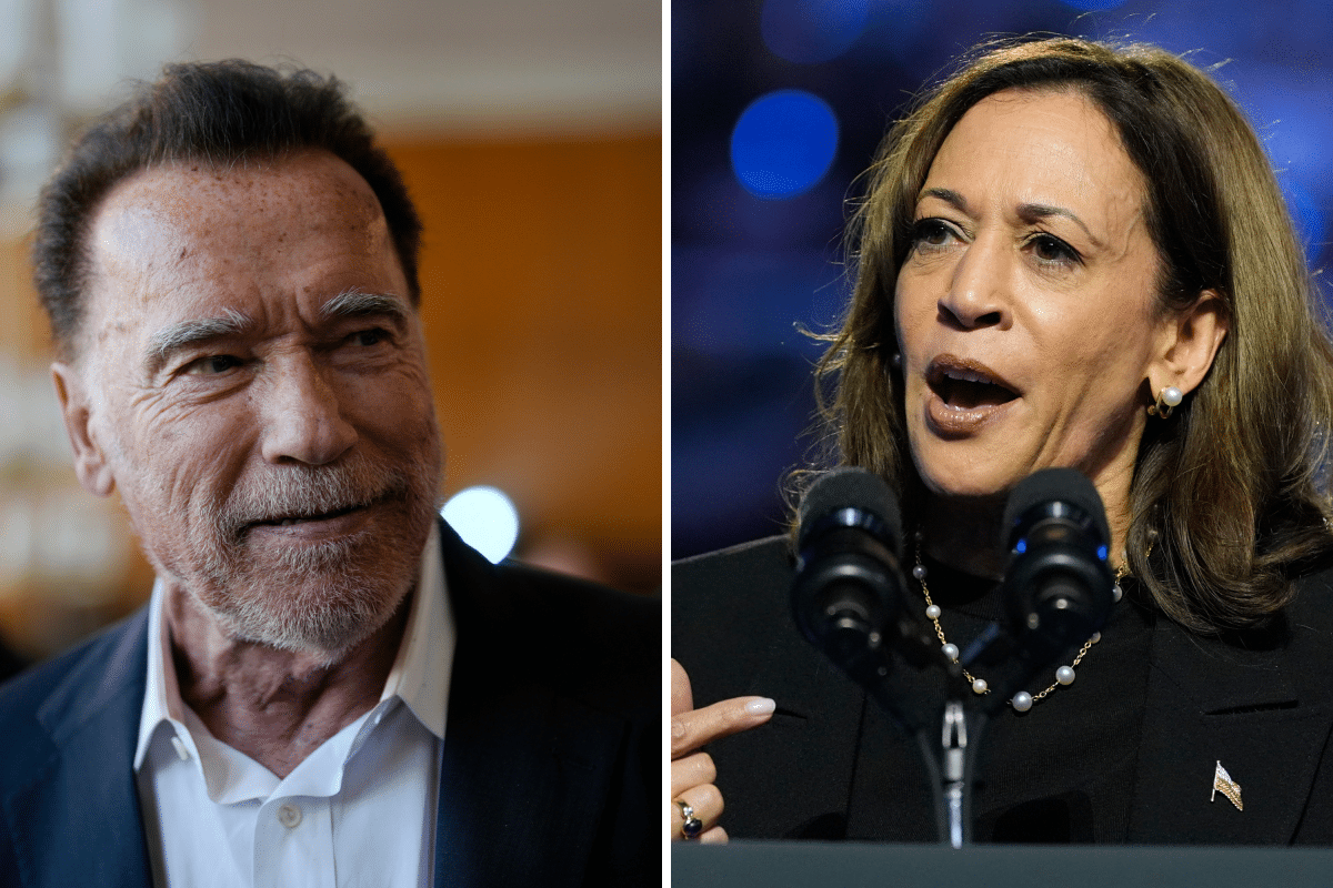 Schwarzenegger Harris endorsement