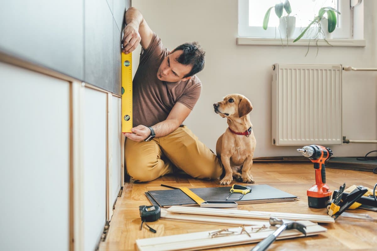 Man Does Home DIY, Can’t Cope With How His Dog Helps