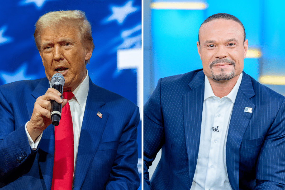 Donald Trump Shares Candid Thoughts on Harvey Weinstein: ‘He Got Schlonged’