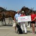 How Clydesdale horses support a non-profit for fallen soldiers, first responders