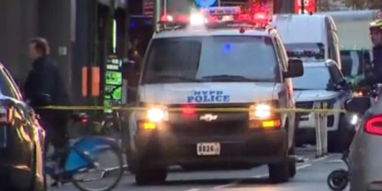 12/4: The Daily Report