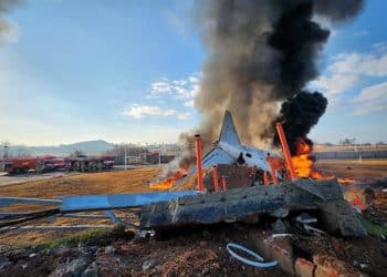 Dozens killed when passenger jet crashes while landing at South Korean airport
