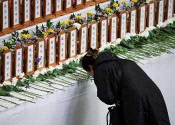 After crash, South Korea orders inspections of all Boeing 737-800 jetliners