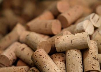 The secrets of cork: So much more than a bottle stopper