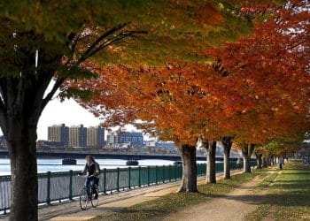 Looking for a home in 2025? Check out these 10 housing hotspots.
