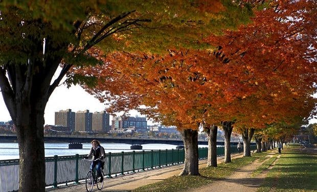 Looking for a home in 2025? Check out these 10 housing hotspots.