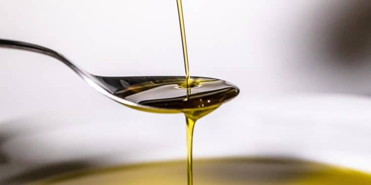 What are seed oils and do they pose health risks? Here’s what to know