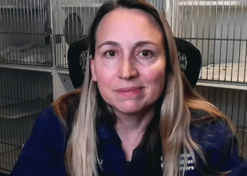 Vet shelters dozens of animals during California wildfires