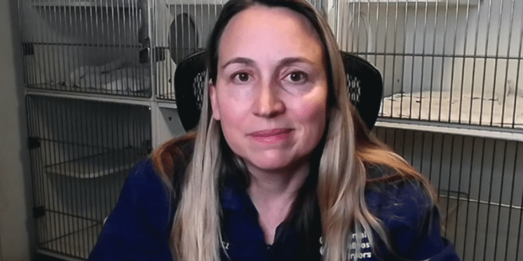 Vet shelters dozens of animals during California wildfires