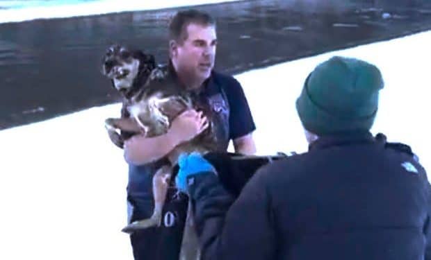 Dramatic rescue of dog from freezing river in Vermont caught on video
