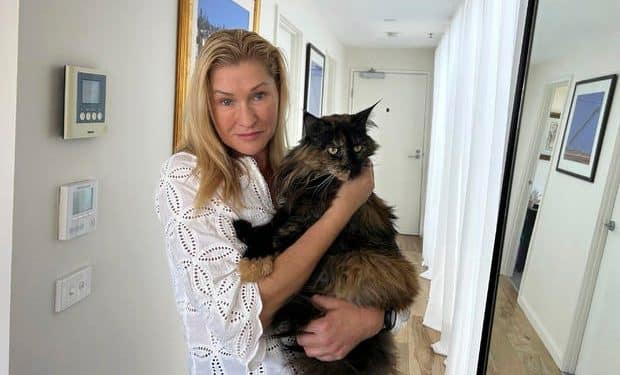 Cat mistakenly left on a plane, takes 3 trips covering 4,500 miles