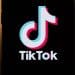 TikTok says it will shut down U.S site unless court removes ban threat