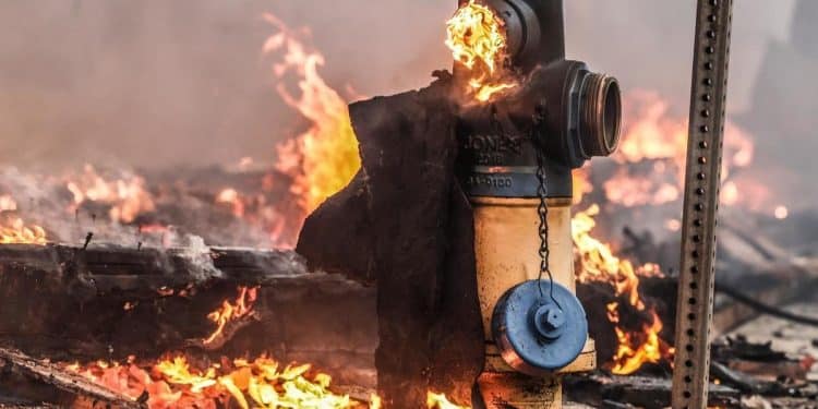 Why have the fire hydrants in Los Angeles run dry?