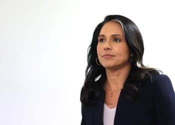 Watch Live: Tulsi Gabbard confirmation hearing for director of national intelligence