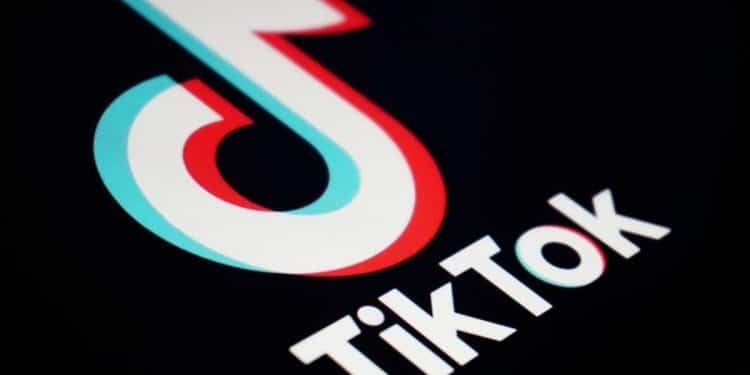TikTok voluntarily shuts down in the U.S. as divest-or-ban law set to take effect